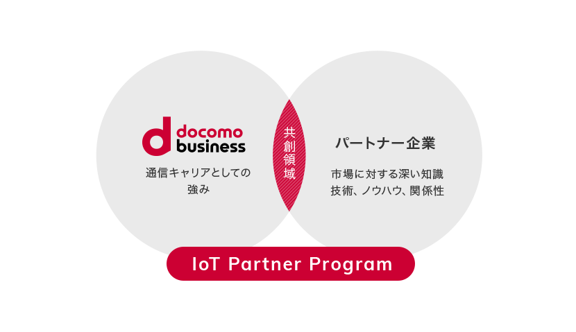 IoT Partner Program