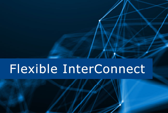 Flexible InterConnect