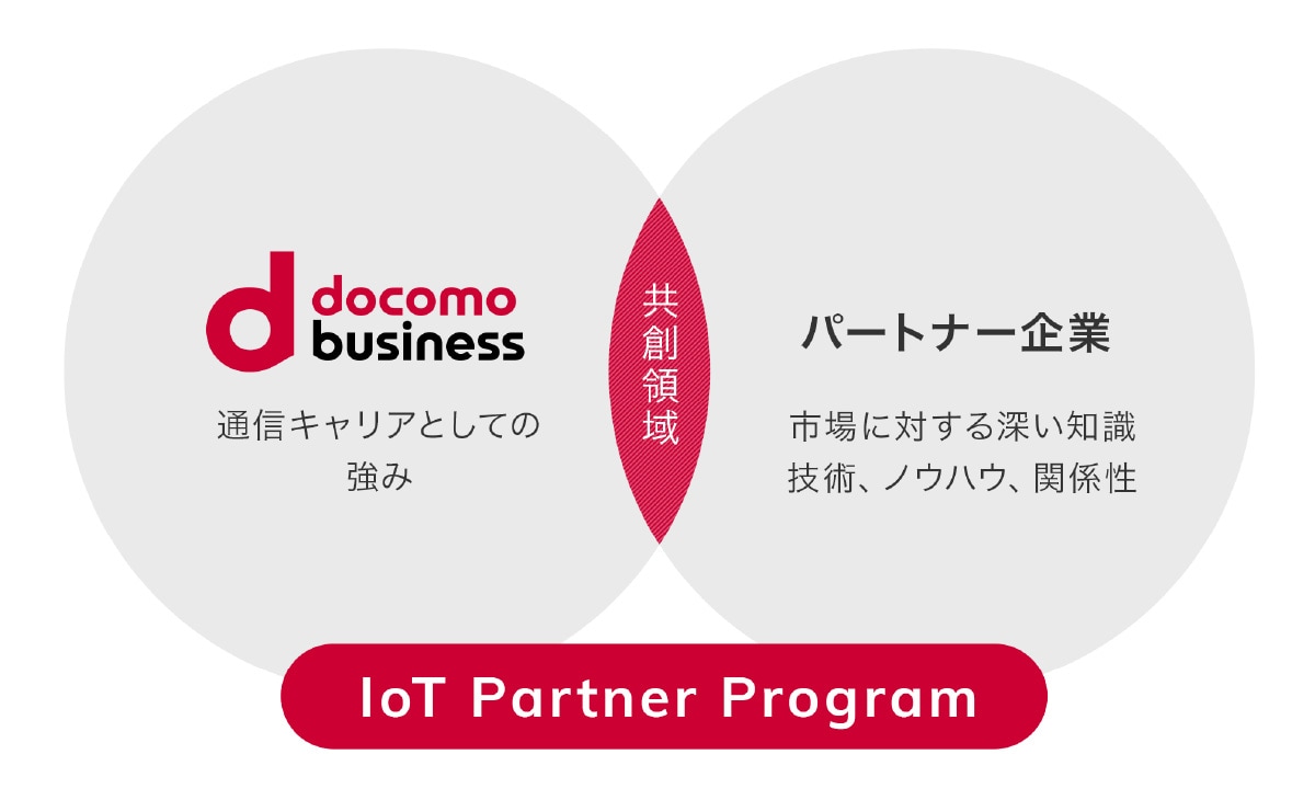 IoT Partner Program