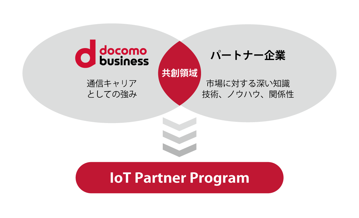 IoT Partner Program