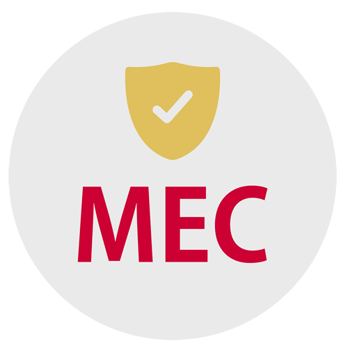MECサーバー基盤へのダイレクトアクセス イメージアイコン